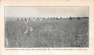 F89/ Loramie Valley Wyoming Postcard c1910 Oats Blackburn Ranch Men