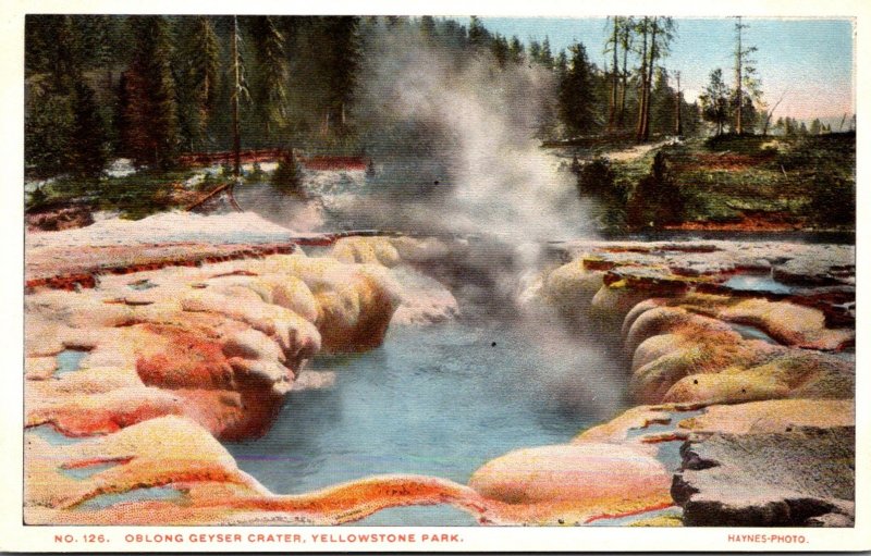 Yellowstone National Park Oblong Geyser Crater Haynes Photo