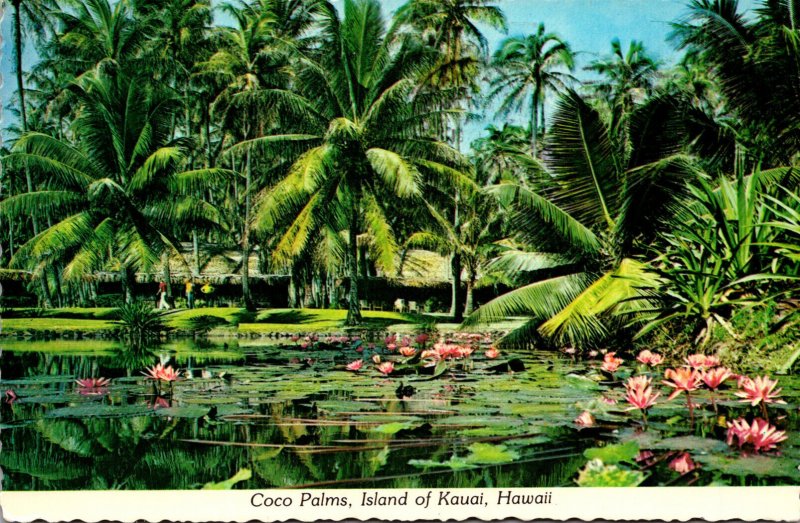 Hawaii Kauai Coco Palms Resort 1979
