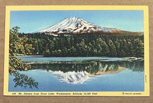 VINTAGE UNUSED .01 LINEN POSTCARD - MT. ADAMS FROM TROUT LAKE. WASHINGTON