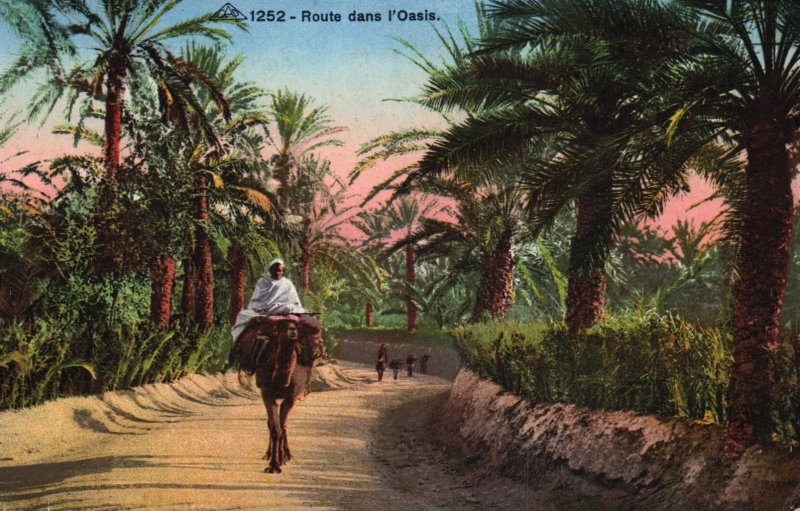 Route dans L'Oasis Camel