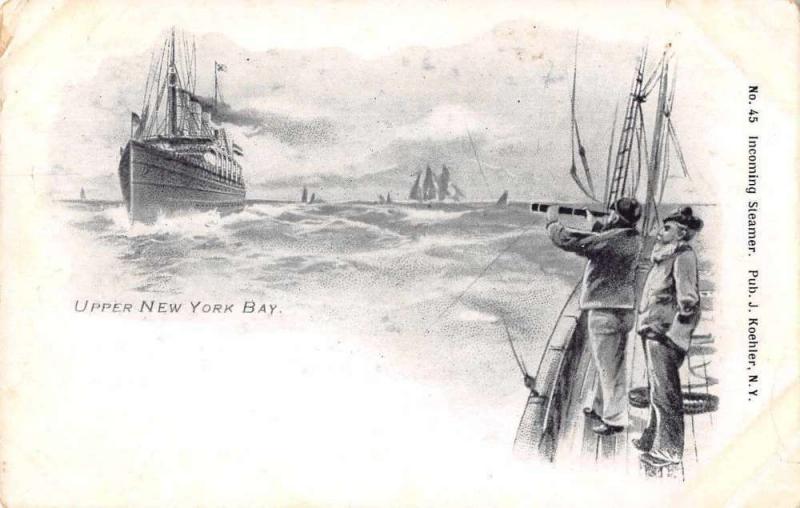 Upper New York Bay Incoming Steamer Scenic View Antique Postcard J77510