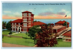 1950 Erie Fish Hatchery Foot Of Chestnut Street  Erie Pennsylvania PA Postcard 