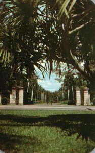 Vintage Postcard Hialeah Race Course Entrance New Club House Miami FL Florida