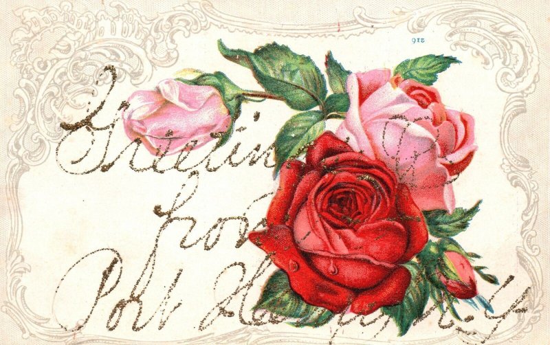 Vintage Postcard 1909 Pink & Red Rose Greetings From Port Jervis New York NY