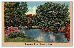 1940 Greetings From River Lake Trees Canoe Ottumwa Iowa Vintage Antique Postcard