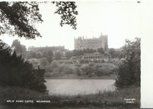 Wales Postcard - Powis Castle - Welshpool - Montgomeryshire - Ref TZ10847