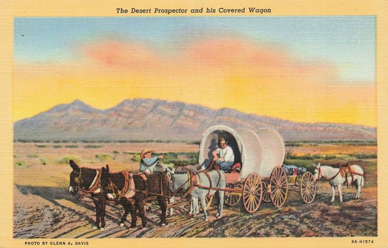 Postcard The Desert Prospector and his Covered Wagon Unposted FPC.