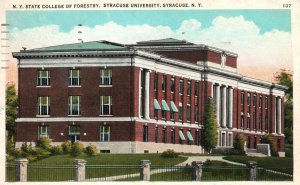 Vintage Postcard 1935 State College Of Forestry Syracuse University Syracuse NY