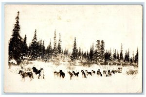 c1930's Mail Carrier Delivery Dog Sled Team Huskies RPPC Photo Vintage Postcard