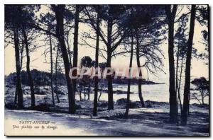 Postcard Old Saint Aygulf A pine forest on the shore