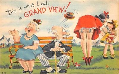 A Grand View Risque Comic Old Couple c1940s Linen Vintage Postcard 