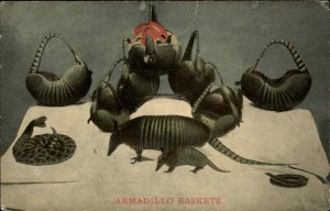 COMFORT TEXAS TX Apelt Armadillo Co ARMADILLO BASKETS Antique Postcard
