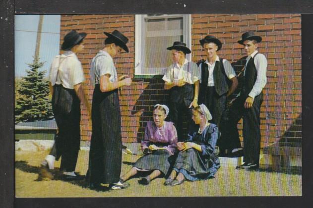 Amish,Pennsylvania Dutch Country Postcard 