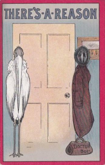 Birth Stork At Door There's A Reason