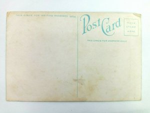 Vintage Postcard Falls In America's Beauty Spot
