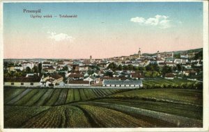 poland, PRZEMYŚL, Ogólny Widok, General View (1910s) Postcard