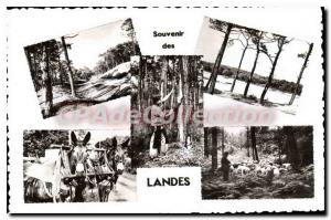 Postcard Old Landes Route En Foret The Courant