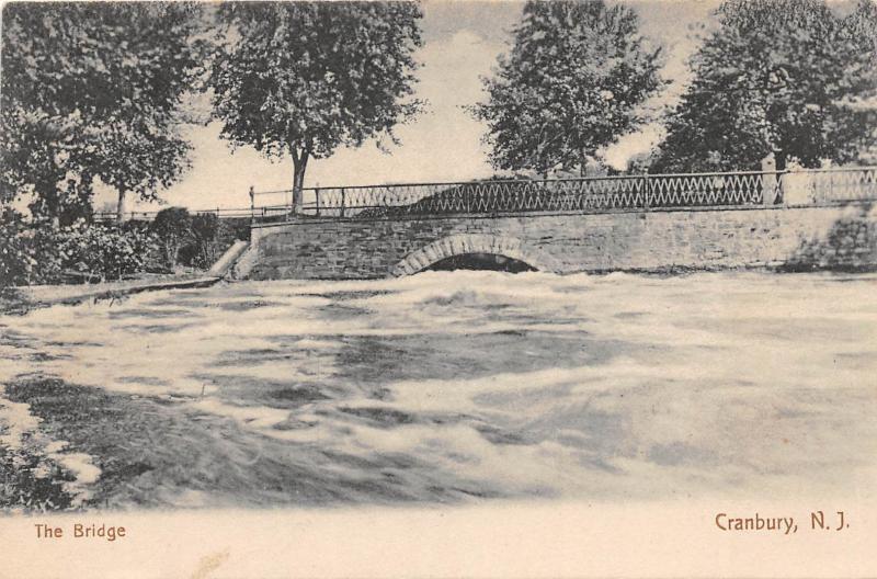 C18/ Cranbury New Jersey NJ Postcard c1910 The Bridge High Water