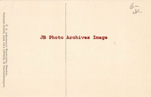 A Durer, F.A. Ackermann No 2297, Rabbit Sitting