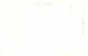 MULTI PHOTO AND DRAWING JAPANESE POSTCARD MONKEY