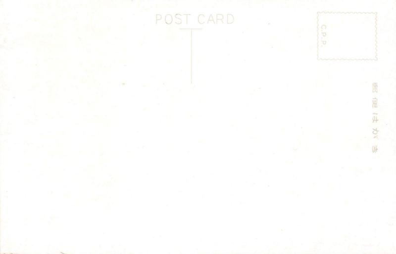 MULTI PHOTO AND DRAWING JAPANESE POSTCARD MONKEY