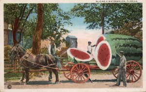 13066 Exaggeration: Slicing A Watermelon, Florida 1920