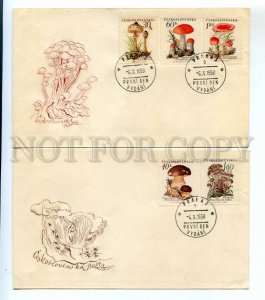 487229 Czechoslovakia 1958 year set of FDC flora mushrooms