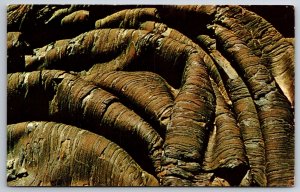 Crater of the Moon Monument Idaho~North Crater Flow~Vintage Linen Postcard