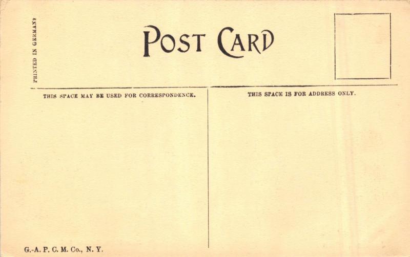 JACKSON MICHIGAN NEW HIGH SCHOOL BUILDING POSTCARD  1910s