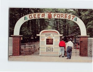 M-164999 Entrance to Deer Forest Paw Paw Lake Coloma Michigan SUA