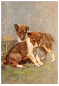 Dog , Collie puppies,    artist signed