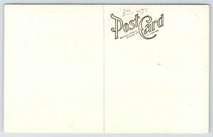 Detroit Michigan~Trees Help Frame View of Carnegie Library RPPC 1920s Postcard