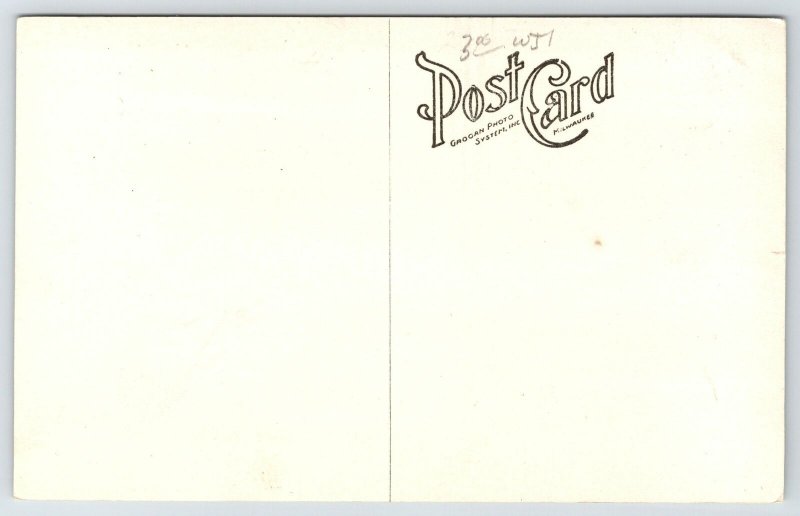 Detroit Michigan~Trees Help Frame View of Carnegie Library RPPC 1920s Postcard