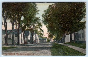 HARTLAND, Maine ME ~ Handcolored COMMERCIAL STREET Scene 1907 Postcard