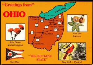 Ohio Greetings With Map State Flower Tree Bird and Flag