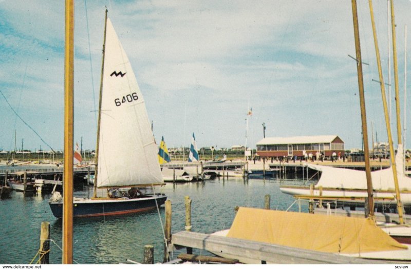 Sail Boat , DEWEY BEACH , Delaware , 50-60s