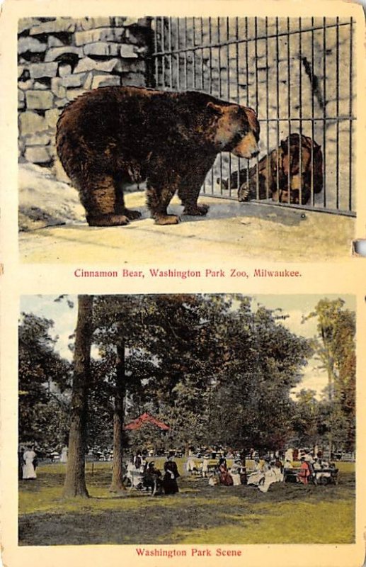 Washington Park Zoo Cinnamon Bear  - Milwaukee, Wisconsin WI