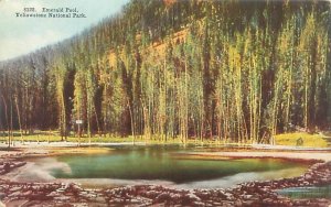Yellowstone Park Emeral Pool Litho Postcard Unused