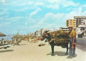 Vtg Postcard Spanish Clay Pot Seller with Donkey On Beach at  El Arenal Mallorca