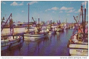 Florida Tampa Shrimp and Fishing Boats