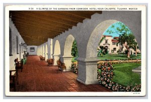 Gardens From Corridor Hotel Agua Caliente Tijuana Mexico UNP WB Postcard Y17