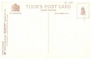 Dog , Run to Earth  ( Fox Hunt )