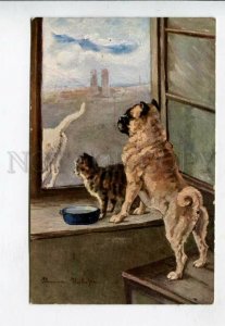 427137 PUG & Kitty CAT in Window by KIEKFER Vintage TSN PC