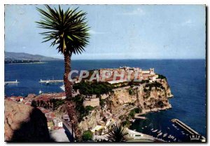 Modern Postcard Monaco The Rock of Monaco saw the Exotic Garden