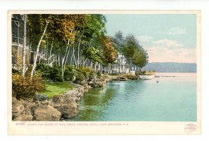 NH - Lake Spofford. Pine Grove Springs Hotel Along Shore