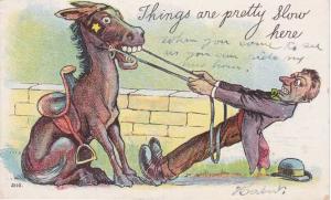 Donkey or Mule - Things are Pretty Slow Here! - Humor - pm 1907 - DB