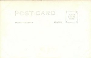 NV, Carson City, Nevada, Bowers Mansion, RPPC