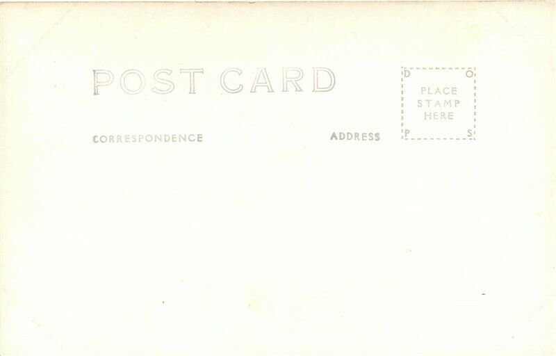 NV, Carson City, Nevada, Bowers Mansion, RPPC