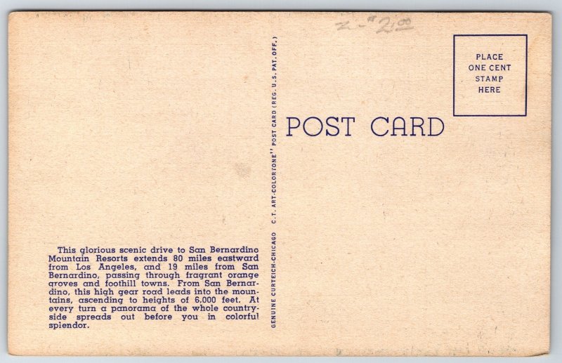 San Bernardino California~Birds Eye View From Rim O The World Hwy~Linen Postcard